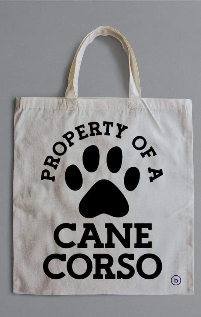 Canvas Bags