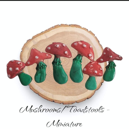 Miniature Mushroom/Toadstool Collection