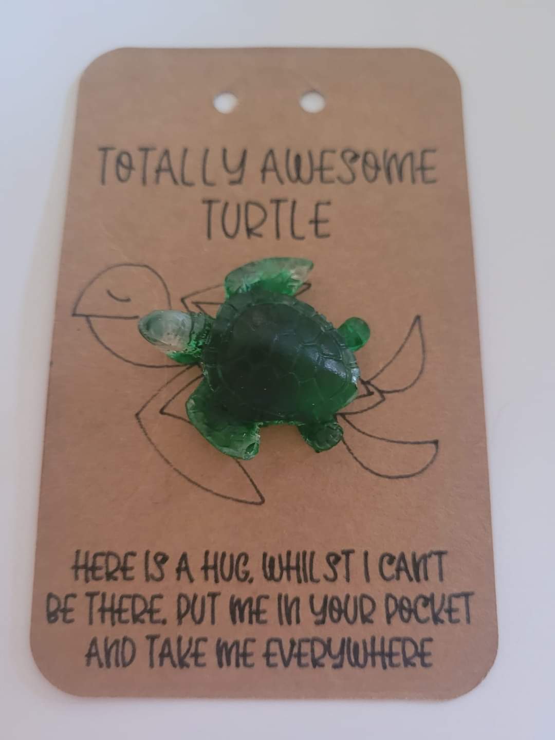 Totally Awesome Turtle - Pocket Hug