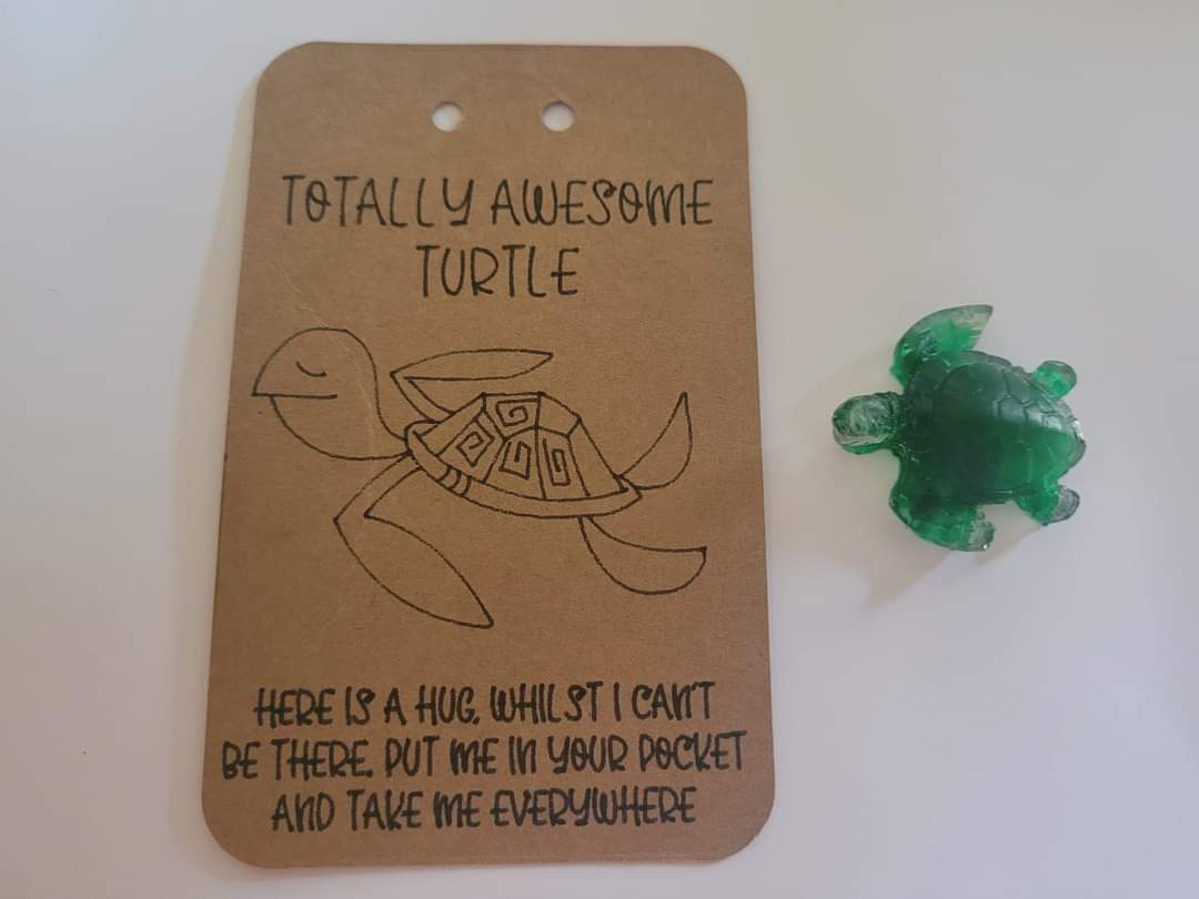 Totally Awesome Turtle - Pocket Hug