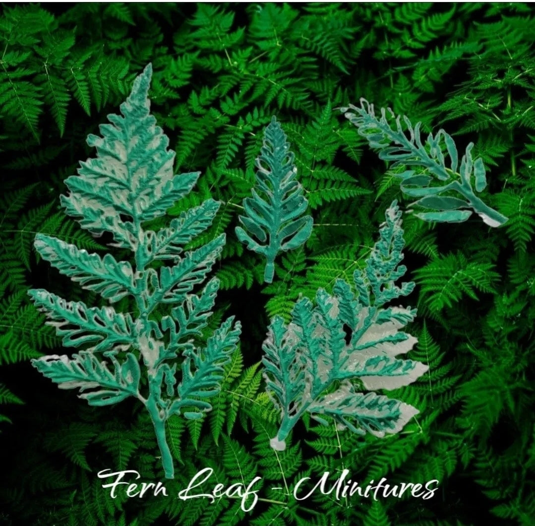 Miniature Fern Collection