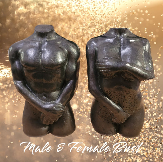 Male & Female Bust