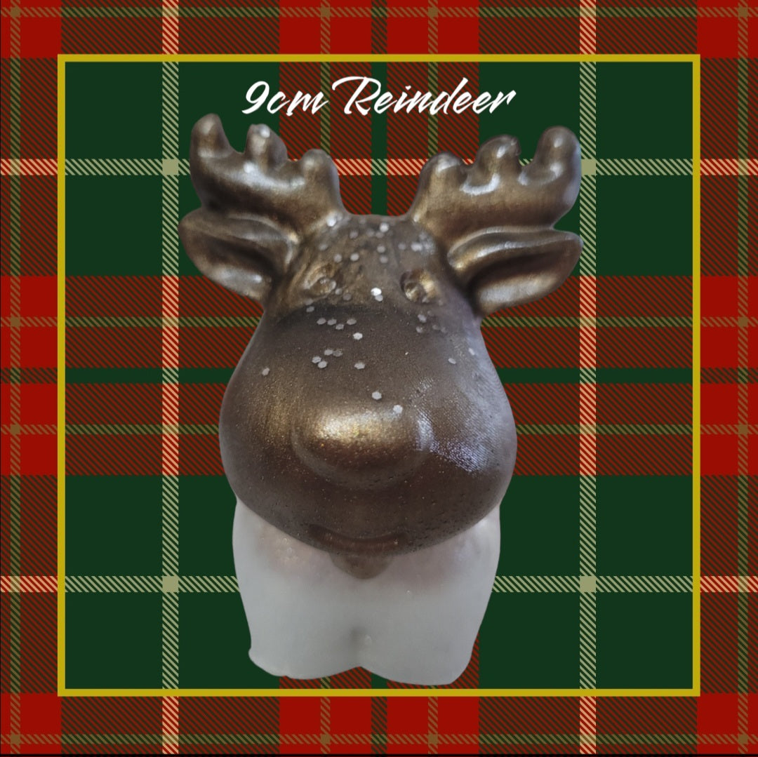 Reindeer