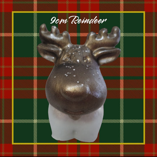 Reindeer