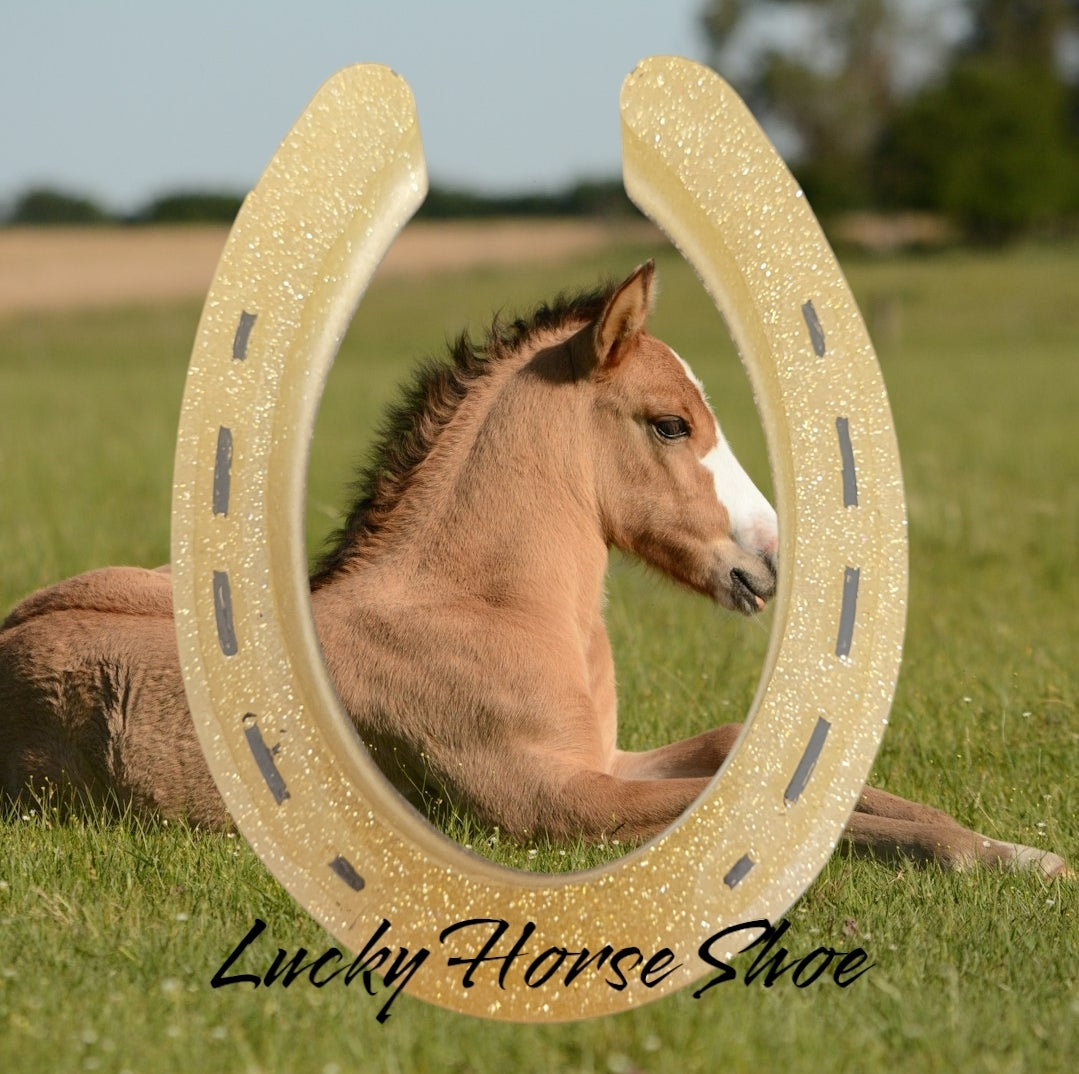 Lucky Horseshoe Ornament 🐴